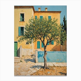 Olive Tree Canvas Print