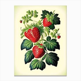 Strawberry Plant,, Fruit, Vintage Botanical Canvas Print