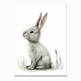 Silver Marten Rabbit Kids Illustration 4 Canvas Print
