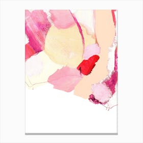 Pink Patches Canvas Print