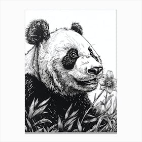 Giant Panda Sniffing A Flower Ink Illustration 1 Canvas Print