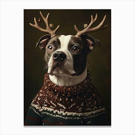 Staffy Staffordshire Bull Terrier In Christmas Jumper Canvas Print