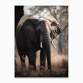 Elephant In The Savannah Canvas Print