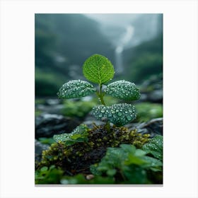 Water Droplets On A Leaf Canvas Print