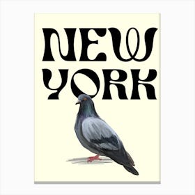 New York Pigeon Canvas Print