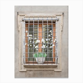 Window With Bars Canvas Print