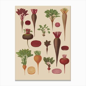 Beets 7 Canvas Print