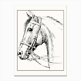 Horse Canvas Print