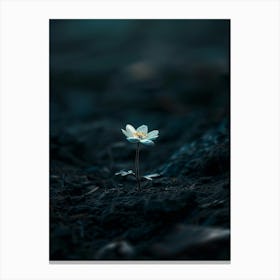 Flower In The Dark 87 Canvas Print