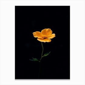 Single Yellow Flower 25 Canvas Print