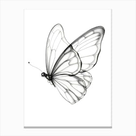 Butterfly Drawing Canvas Print