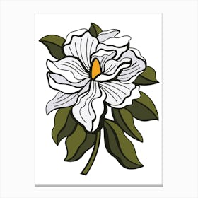 White Magnolia Contemporary Botanical Illustration Canvas Print