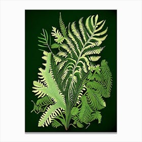 Lady Fern 5 Vintage Botanical Poster Canvas Print