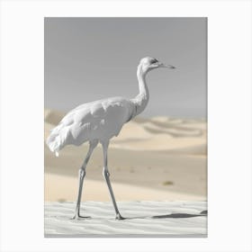 White Crane In The Desert Canvas Print