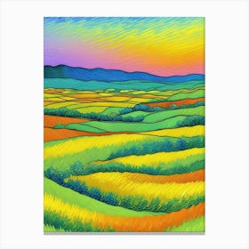 Canola Field At Sunset Canvas Print