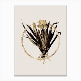 Gold Ring Crimean Iris Glitter Botanical Illustration n.0070 Canvas Print