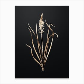Gold Botanical Wild Asparagus on Wrought Iron Black n.4087 Canvas Print