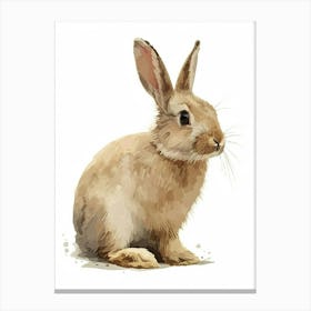 Jersey Wooly Rabbit Nursery Illustration 4 Canvas Print