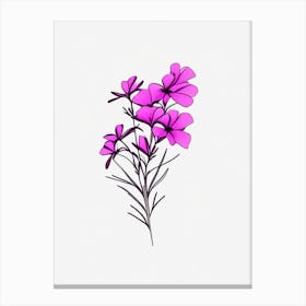 Phlox Floral Minimal Line Drawing 2 Flower Canvas Print