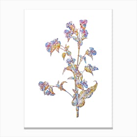 Stained Glass Commelina Tuberosa Mosaic Botanical Illustration on White n.0246 Canvas Print