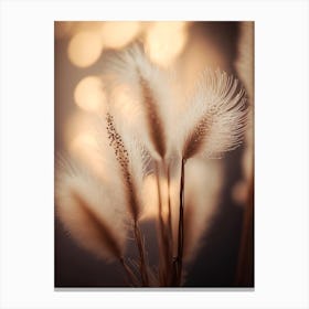 In The Morning Sun Canvas Print