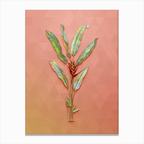Vintage Parrot Heliconia Botanical Art on Peach Pink n.0839 Canvas Print