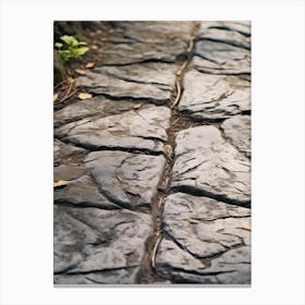 Stone Path In The Park 1 Canvas Print