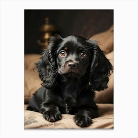 Cocker Spaniel Canvas Print