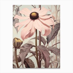 Floral Illustration Black Eyed Susan 3 Canvas Print