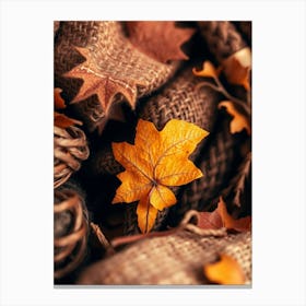 Autumn Leaves On A Blanket Canvas Print