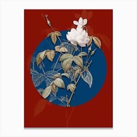 Vintage Botanical White Bengal Rose on Circle Blue on Red n.0218 Canvas Print