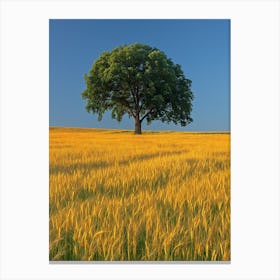 Lone Tree In A Wheat Field Canvas Print