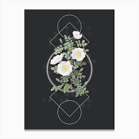 Vintage White Burnet Roses Botanical with Geometric Line Motif and Dot Pattern Canvas Print