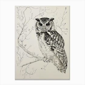 Spotted Owl Drawing 2 Canvas Print