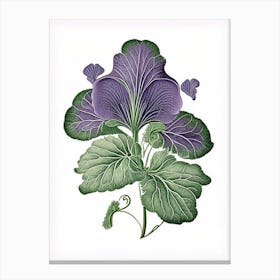 Sweet Violet Leaf Vintage Botanical 2 Canvas Print