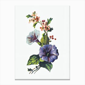 Morning Glories Canvas Print