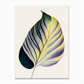 Hosta Leaf Abstract 2 Canvas Print