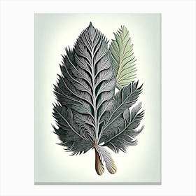 White Pine Leaf Vintage Botanical Canvas Print