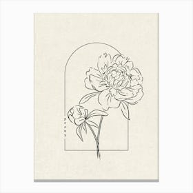 Peony Flower Canvas Print