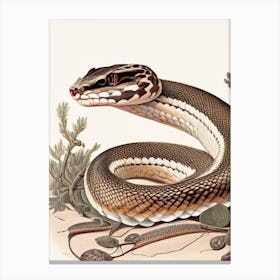 Mexican Dusky Rattlesnake Vintage Canvas Print