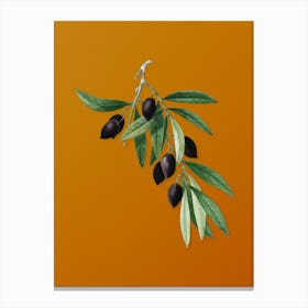 Vintage Olive Tree Branch Botanical on Sunset Orange n.0560 Canvas Print