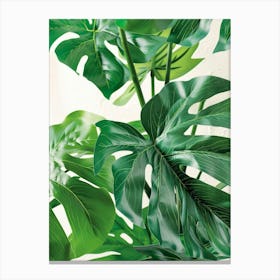 Monstera Plant 2 Canvas Print