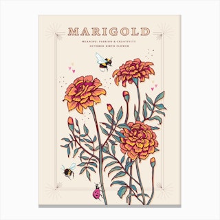 October Birth Flower Marigold On Cream Canvas Print