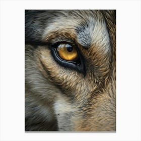 Indian Wolf Eye 3 Canvas Print