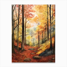 Autumn Forest Landscape Black Forest Germany 1 Canvas Print