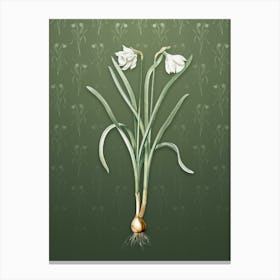 Vintage Narcissus Candidissimus Botanical on Lunar Green Pattern Canvas Print