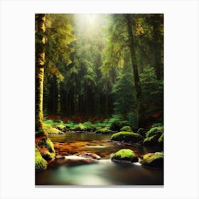 Mossy Forest 3 Canvas Print