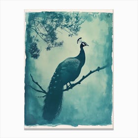 Vintage Blue Tones Peacock Photograph Inspired 2 Canvas Print