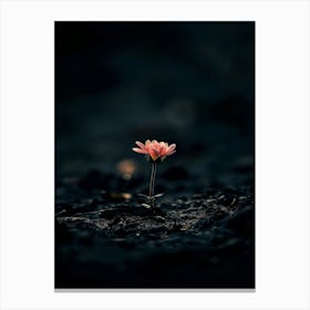 Flower In The Dark 90 Canvas Print