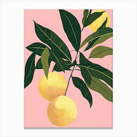 Juicing Lemons Canvas Print